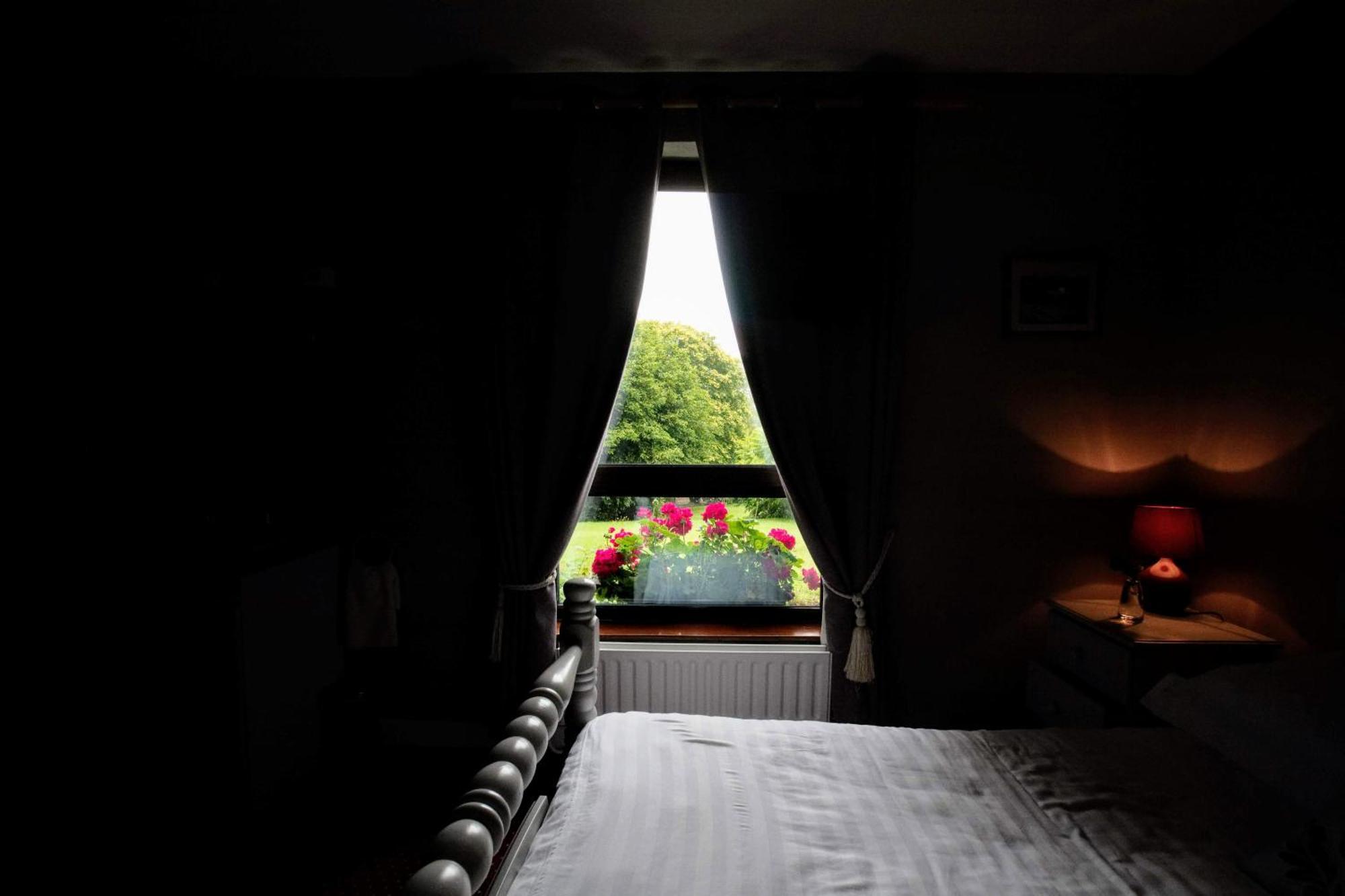 Abbey View Bed & Breakfast Голуэй Экстерьер фото